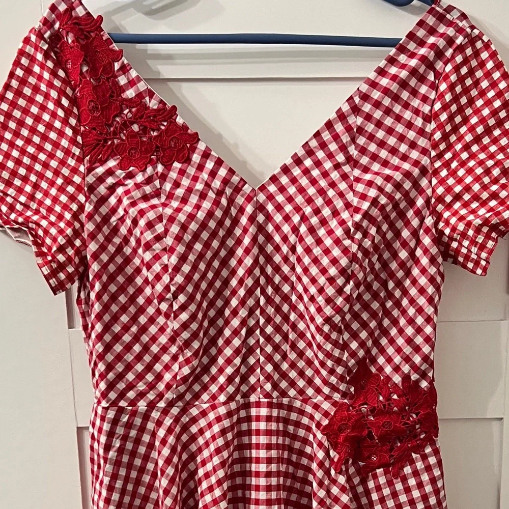 Red Gingham Dress with Lace Accents - Picture 2 of 5